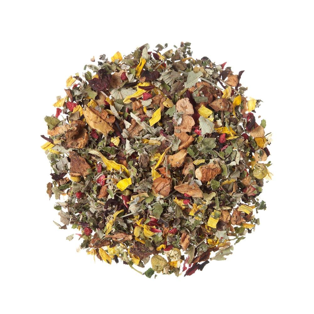 Infusión Magic Forest