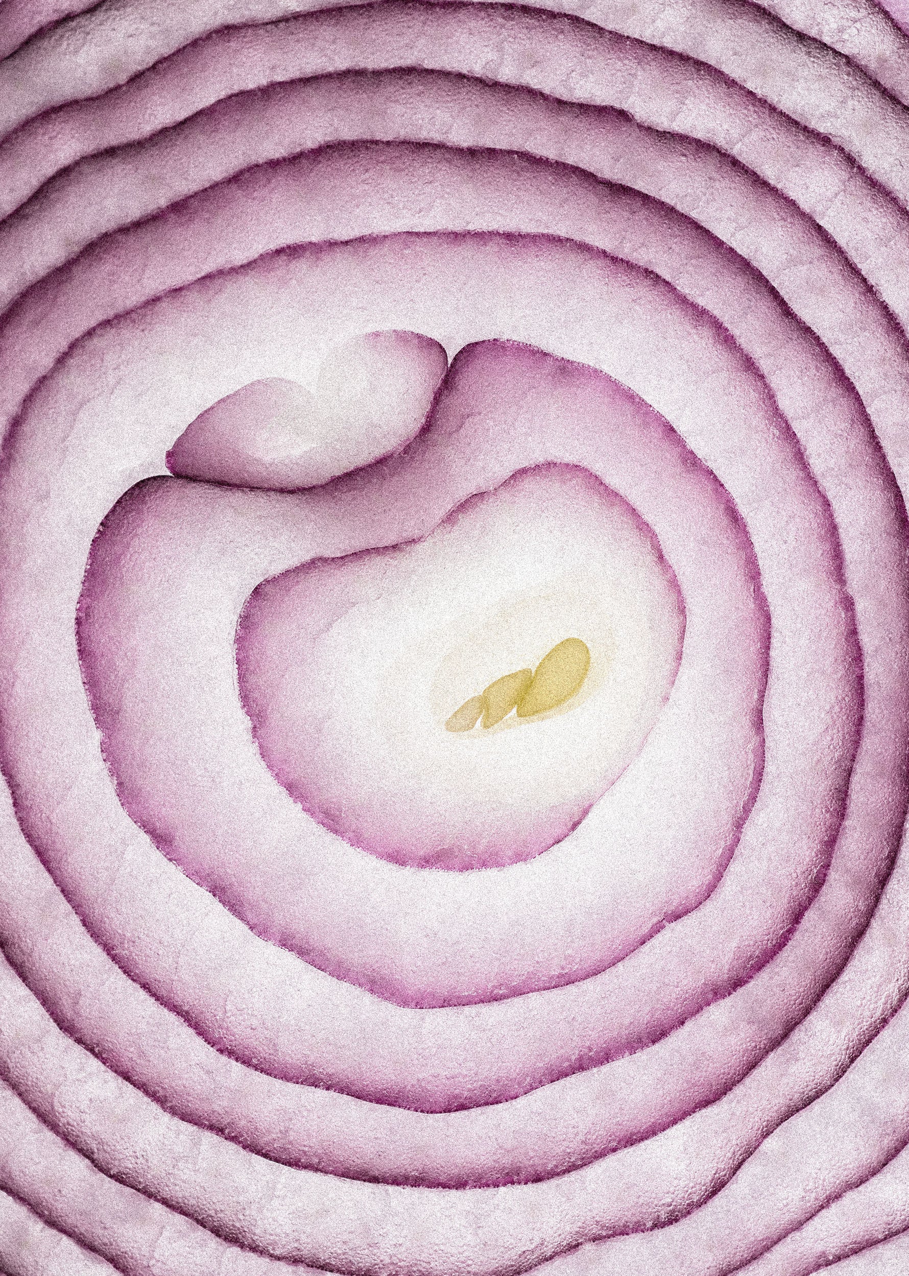 MERMELADA DE CEBOLLA MORADA ECOLÓGICA - Imagen 2