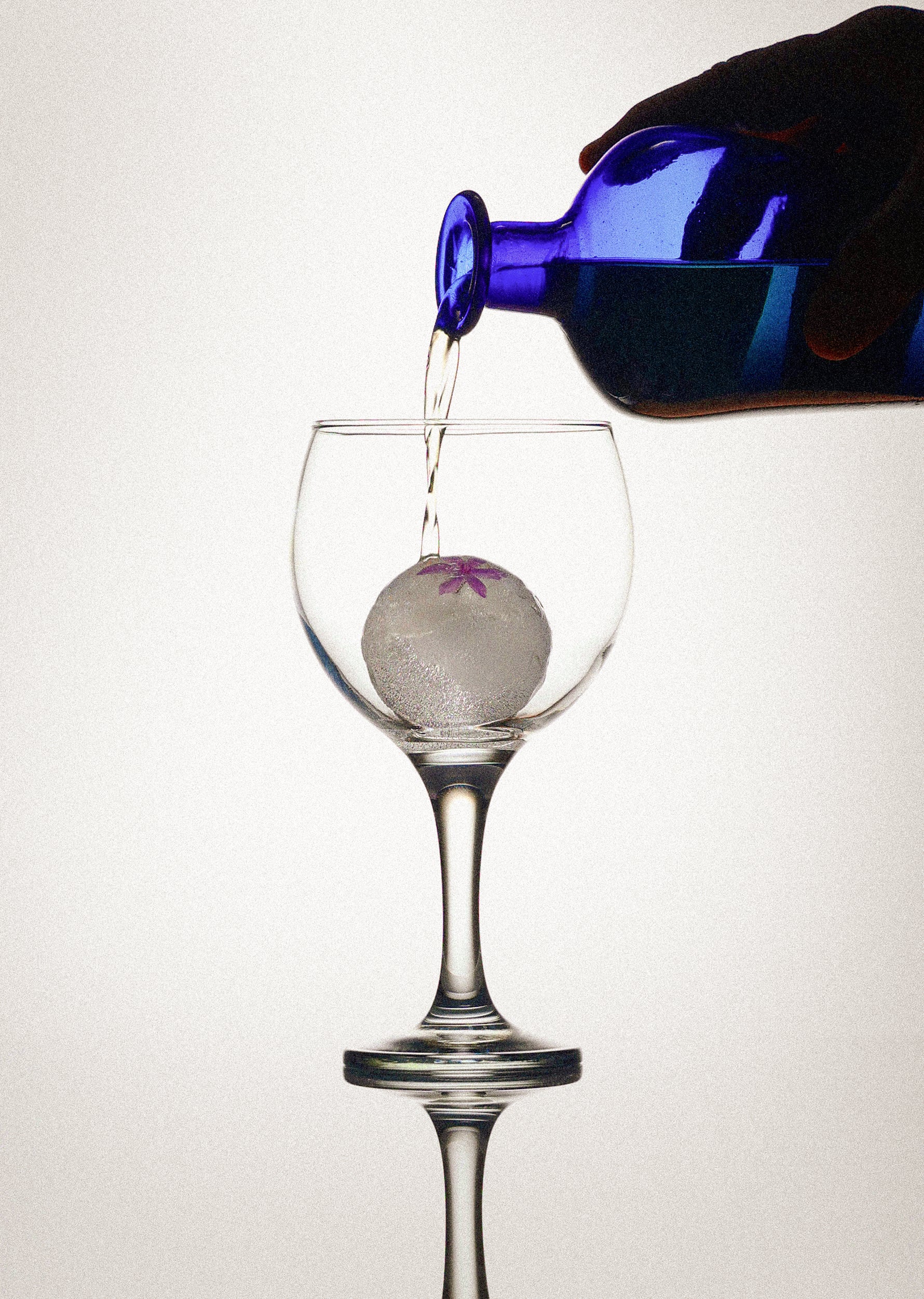 GINEBRA OLD TOM - Imagen 5