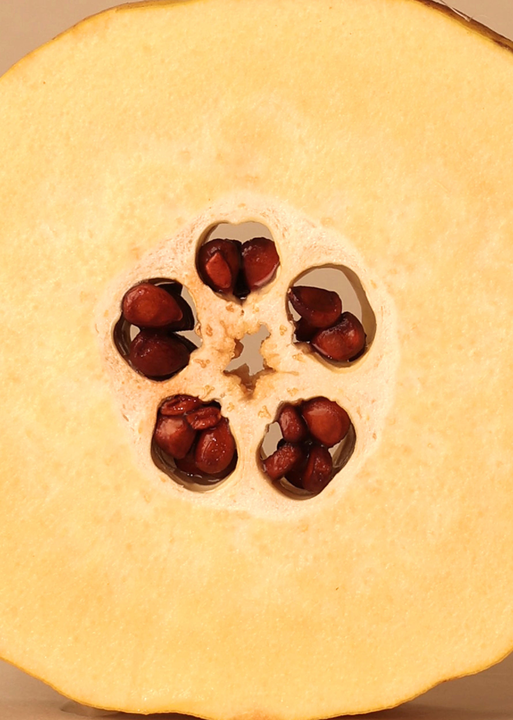 JALEA DE MEMBRILLO Y GUINDILLA ECOLÓGICA - Imagen 2