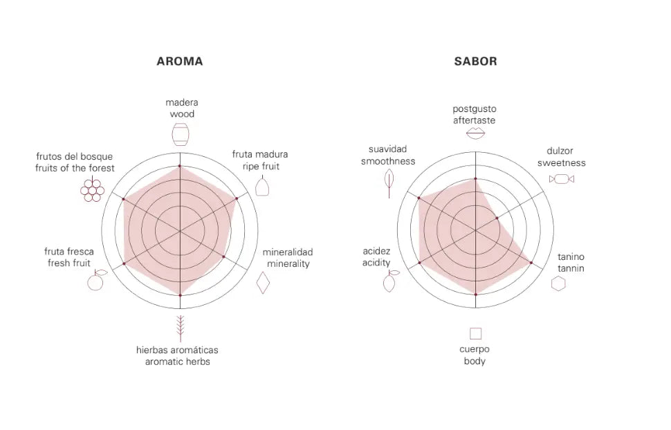 Vinalopó Alicante Bouschet de Bodega Virtudes - Imagen 2
