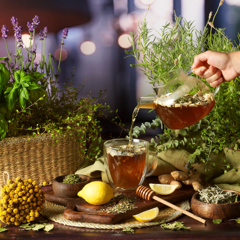 Alcachofera Orgánica - Imagen 3