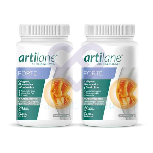 Artilane Forte Polvo Duplo 2 x 220 gr