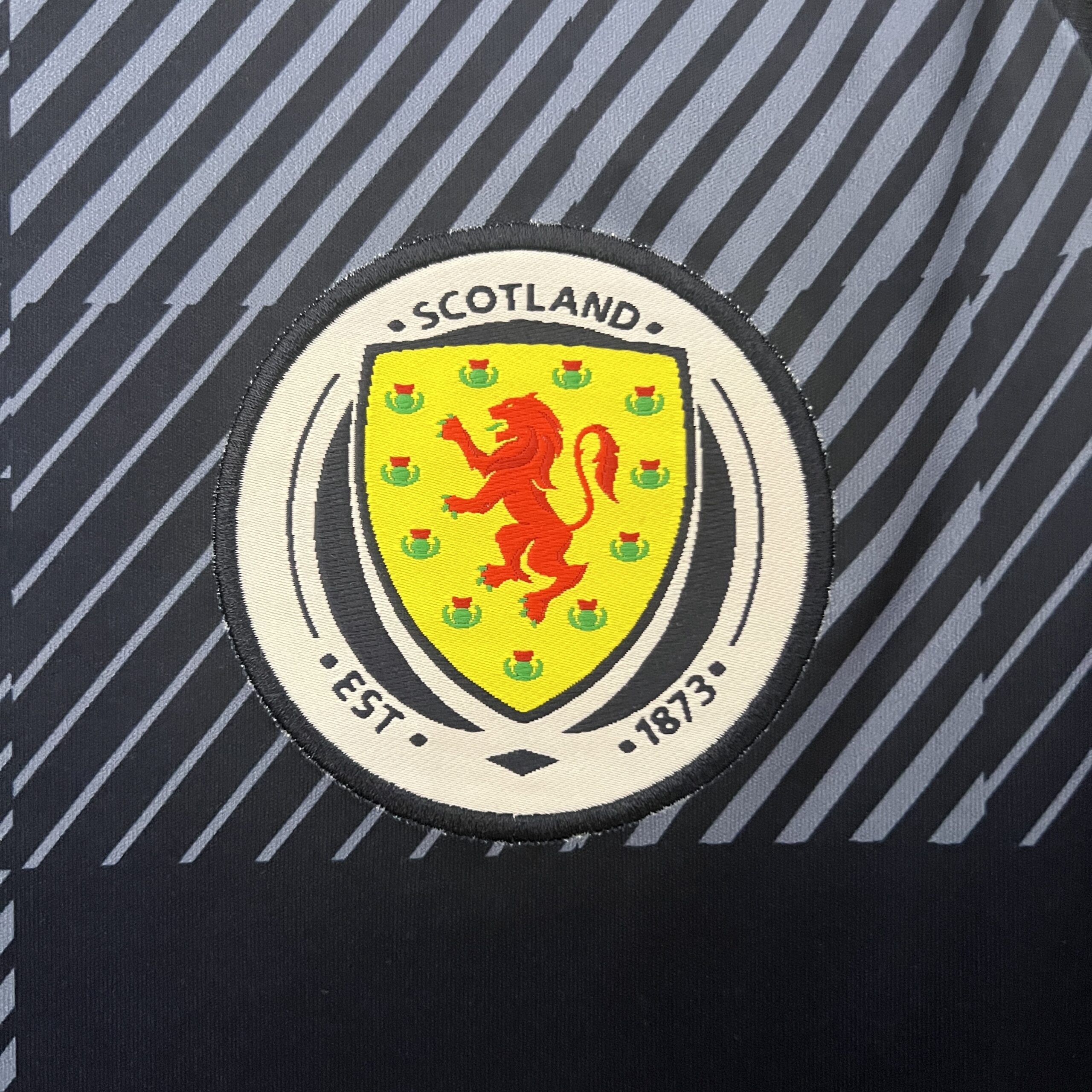 Camiseta Escocia 2024 Local - Imagen 4