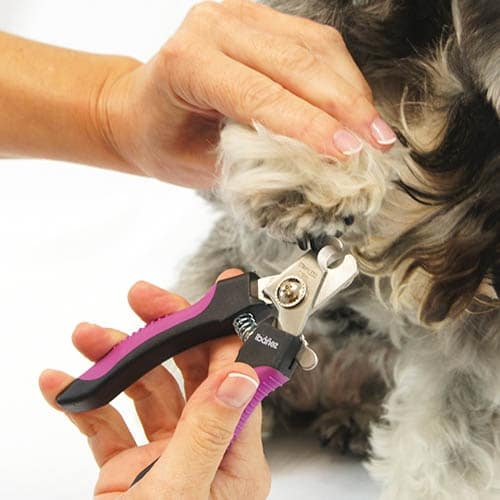 Cortauñas Grande - Imagen 2