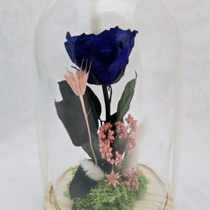 Cúpula rosa preservada