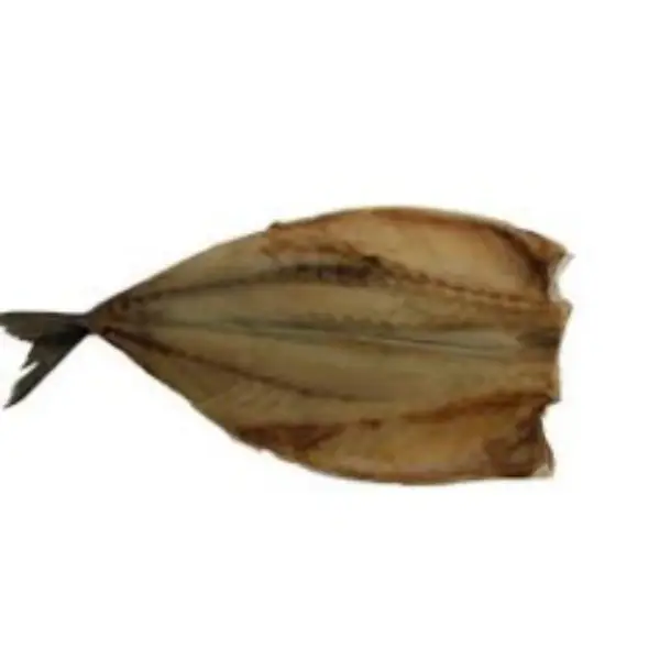 Estornino – Caballa Oreada